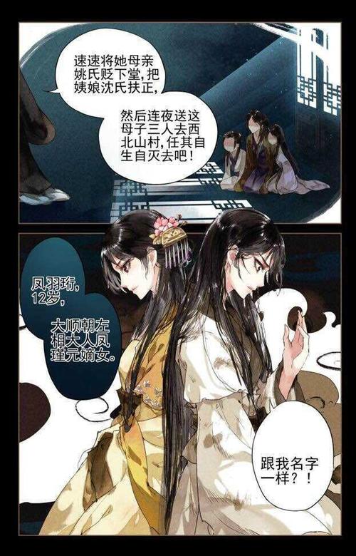 神医嫡女