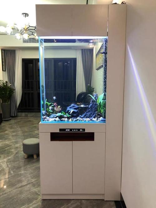家里再小我也要装鱼缸,和玄关柜一体进门当玄关,隔个客厅1柜3用