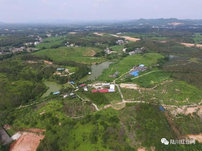 滩面镇位于陆川县南部,全镇区域面积63平方千米,辖6个行政村,162个