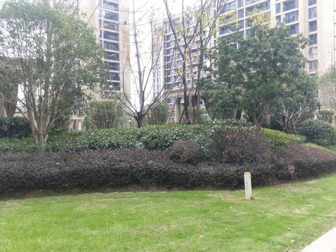 绿城秀丽春江望京园,卢镗街15号-丽水绿城秀丽春江园