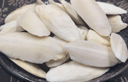 "海螵蛸"是什么东西?它有哪些妙用?|配伍|中药|菟丝子