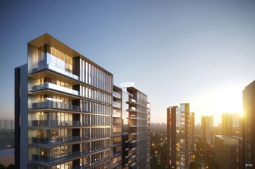 昨天接到了一个粉丝投稿:高新区的永威西棠适合投资吗