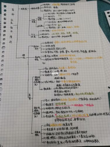 局部血液循环思维导 