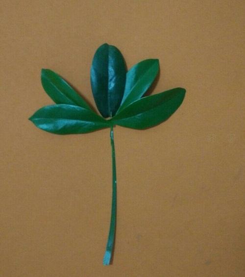 教你用树叶制作儿童创意小手工花边小鱼拼图画的步骤