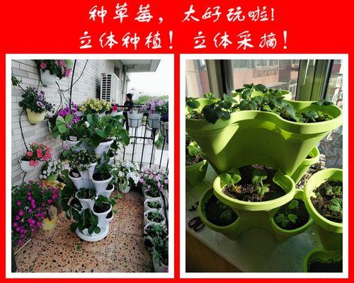 立体多层组合花盆架子阳台种菜盆神器蔬菜种菜箱种植