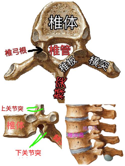创伤外科成功完成了10余例"使用后路钉棒系统脊柱椎弓
