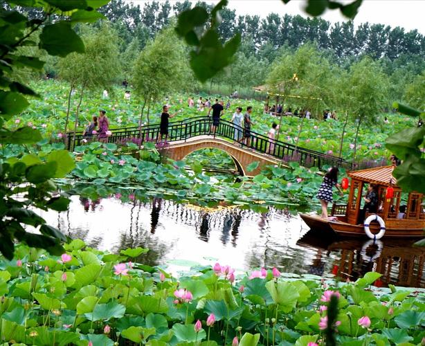 辽阳柳壕湿地公园