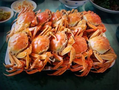 石屏宝秀大闸蟹