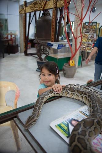 snake temple – 人蛇和平共处的槟城蛇庙