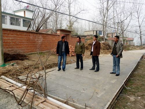 11月12日,在明光市潘村镇芦塘村张庄的中心,一条南北长800米,宽3.