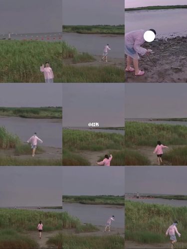 景点_上海市九段沙湿地国家级自然保护区自由