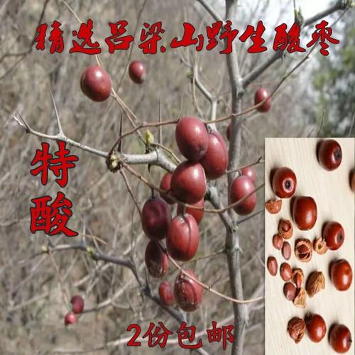 共141 件山西野生酸枣相关商品