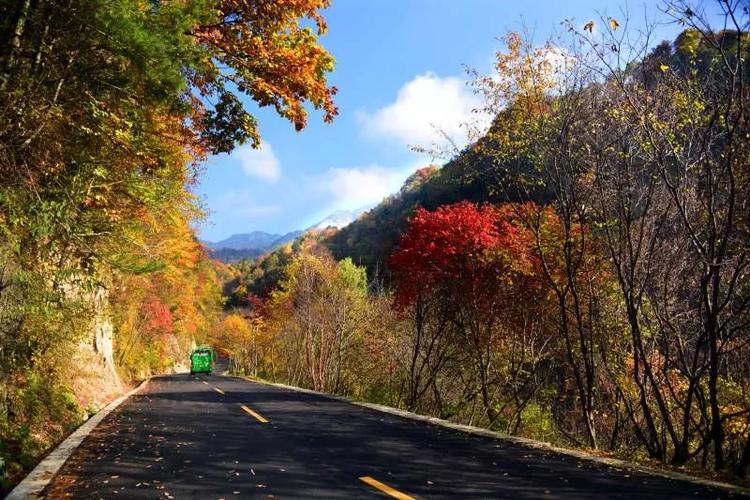 秦岭深处藏了一条秋季最美公路,沿路都是绝美秋景