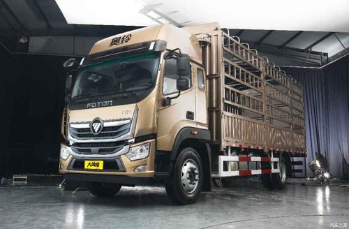 夫妻档 奥铃大黄蜂home版即将上市!