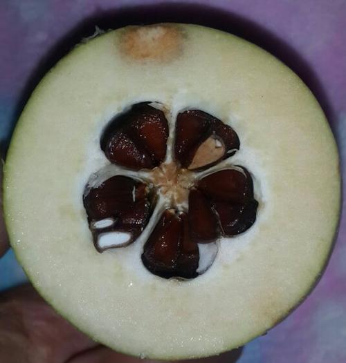 梨子大小,横切面像一朵花有五瓣.果肉偏