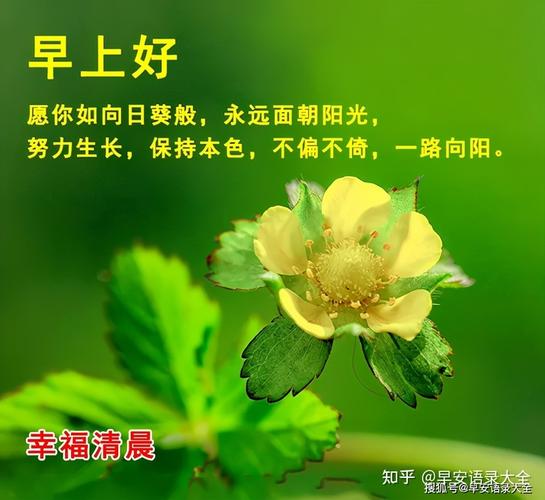 2021年6月5日星期六芒种清晨早上好问候祝福表情图片