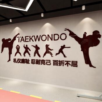 隶属于世界跆拳道海丞会联盟,秉承"海纳百川,志丞天下"的宗旨,由海丞