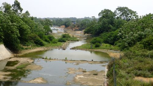 春游鲤鱼地 看生态鸭场 赏本土湿地风光