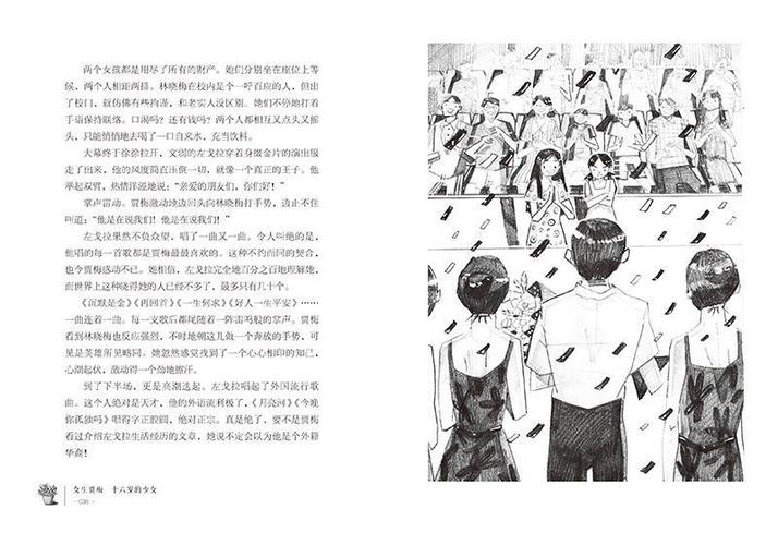 女生贾梅十六岁的少女