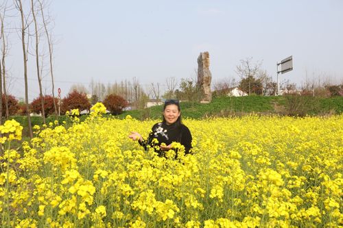 国家生态公园——官亭林海景区