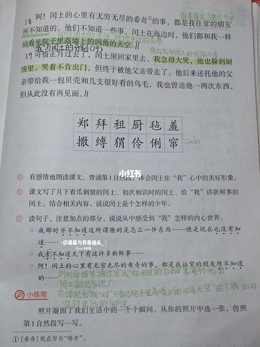 六上语文笔记《少年闰土》_语文_语文笔记_教育_小学