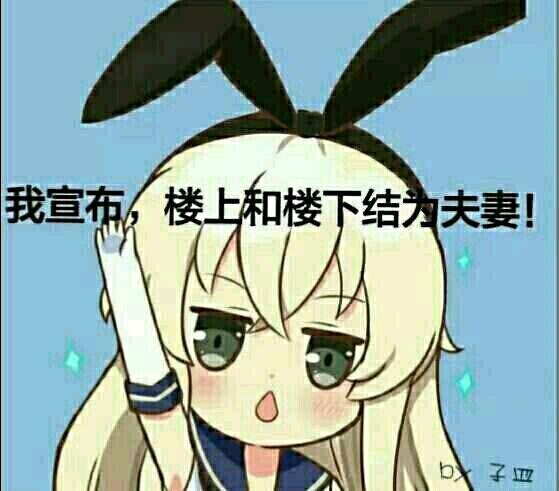 我宣布,楼上和楼上结为夫妻!表情包 - 日常表情包