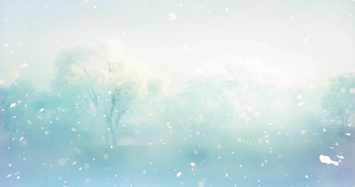 歌曲【雪落下的声音】4k