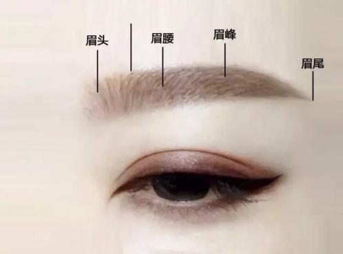 总抱怨眉毛画不好,画眉6个步骤你真的知道吗