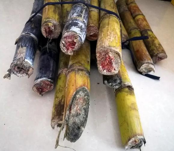 霉变的甘蔗表面带"死色" 切开后断面呈红色或黄色,闻之有霉味 医生