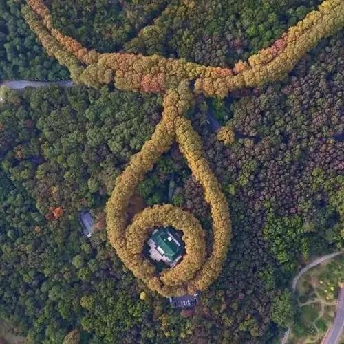 "最美项链"南京美龄宫,还有这些幕后故事