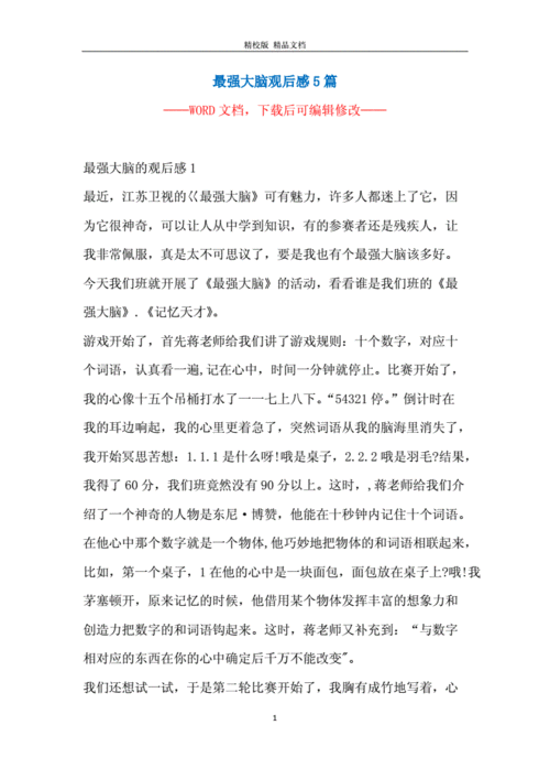 最强大脑观后感5篇.docx 8页
