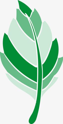 关键词 : 创意树叶,树叶,绿色叶子