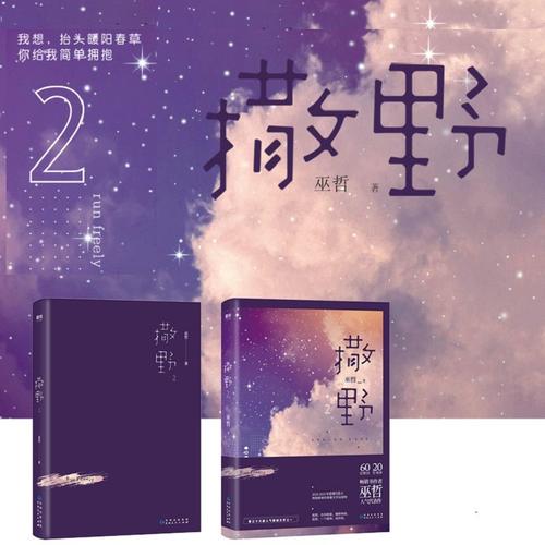 撒野礼包小说全套礼盒画集蒋丞顾飞卡贴手环立牌应援周边徽章撒野典藏