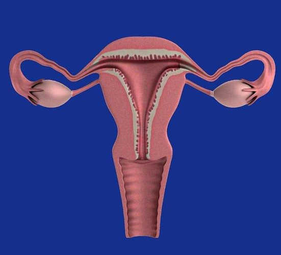 卵巢破裂严重吗