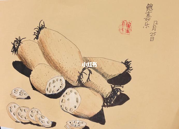 儿童美术线描莲藕_莲藕_美术_文化_绘画