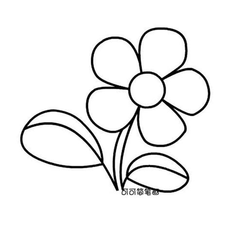 儿童简笔画花朵|盛开的花朵简单画法