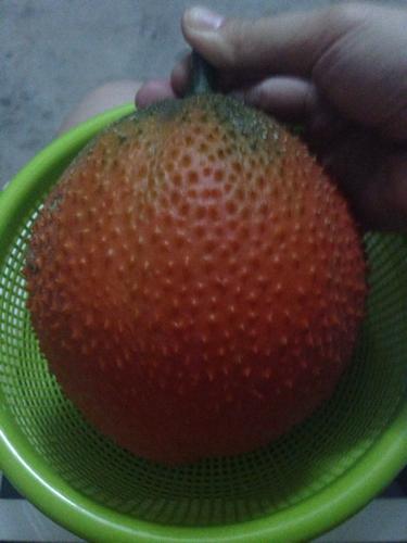 或瓜?橙色皮带刺像小南瓜,瓜瓤红色,籽黑色.到底是啥?怎么吃啊到底?