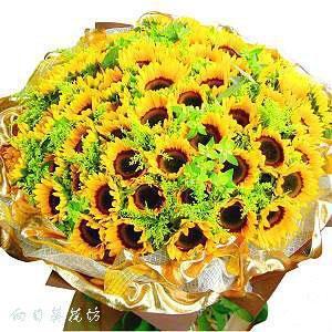 33枝向日葵圆形花束上海鲜花速递情人节圣诞节生日鲜花预订0342