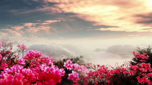 l0109高清led大屏幕视频映山红中国民歌演出晚会背景素材vj专用