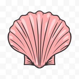 手绘贝壳