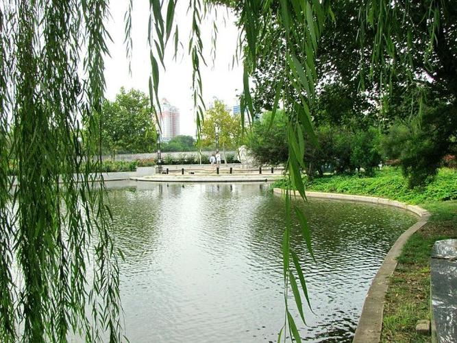 绿意盎然的泰丰公园(二)