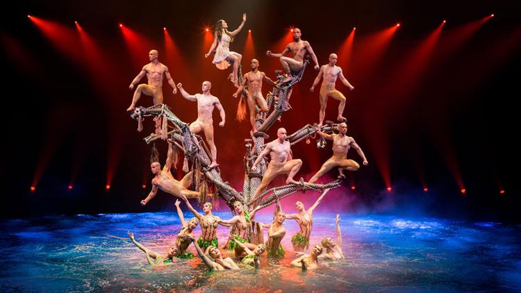 租租车美国旅游拉斯维加斯梦幻秀le reve-the dream贵宾演出门票_7折