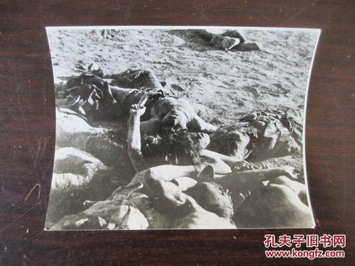 反应日军暴行的照片:日军杀害平阳村民之惨状(平阳惨案 网上可查)