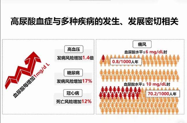 一起来了解下高尿酸血症吧
