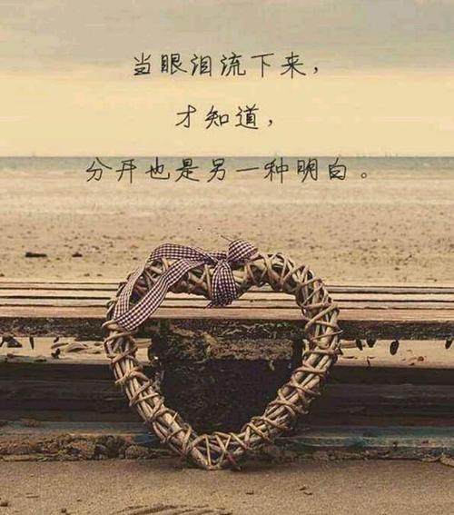 我爱的卑微,你走的干脆!