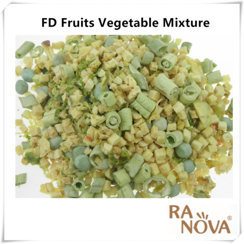 freeze dried reptile food turtle food