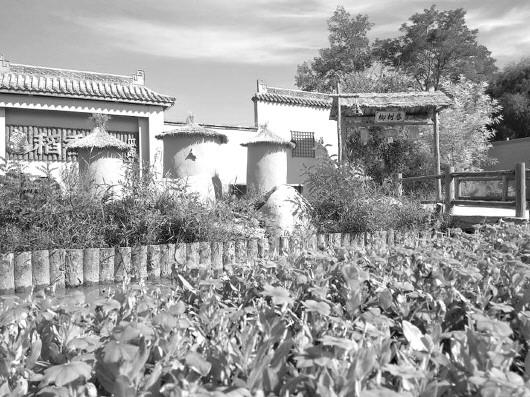 靖远县东湾镇瓜园村:黄河岸边一枝花 风景如画醉人心