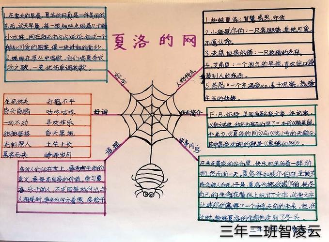 《夏洛的网》思维导图