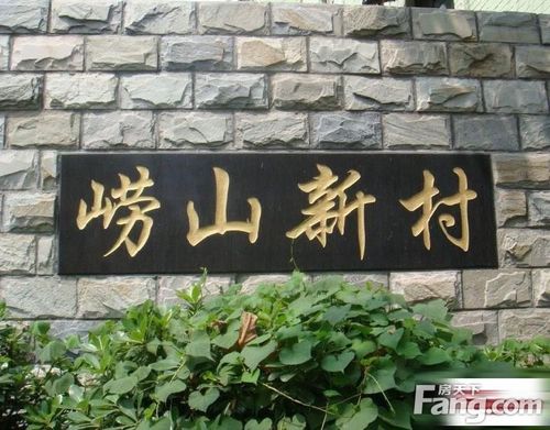崂山新村 陆家嘴金融圈东扩必拆 动迁组做了评估 出手