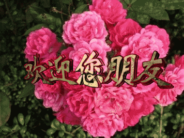 祝朋友们事业有成,生活越来越好!